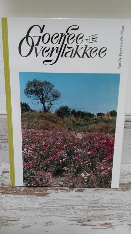 Gastenverblijf Nummer 1 Sommelsdijk ภายนอก รูปภาพ